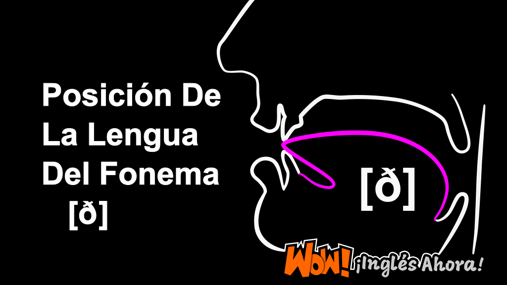 La Posición Relativa De La Lengua En La Boca Al Producir El Fonema [ð].