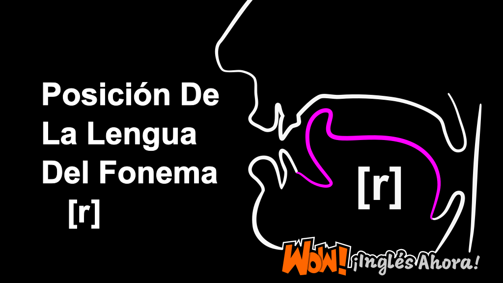 La Posición Relativa De La Lengua En La Boca Al Producir El Fonema [r].