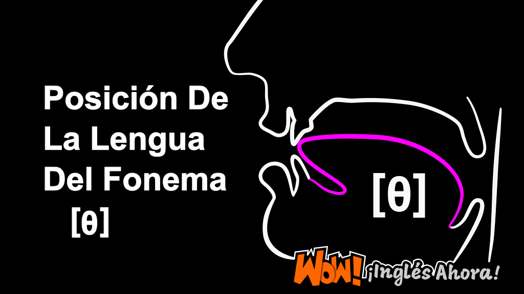 La Posición Relativa De La Lengua En La Boca Al Producir El Fonema [θ].