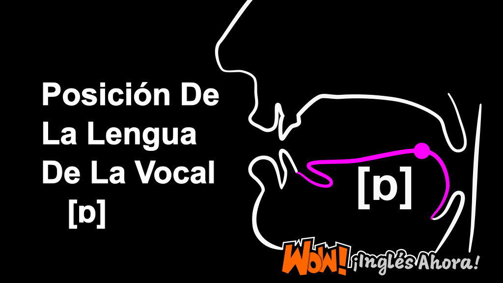 La Posición Relativa De La Lengua En La Boca Al Producir La Vocal [ɒ].