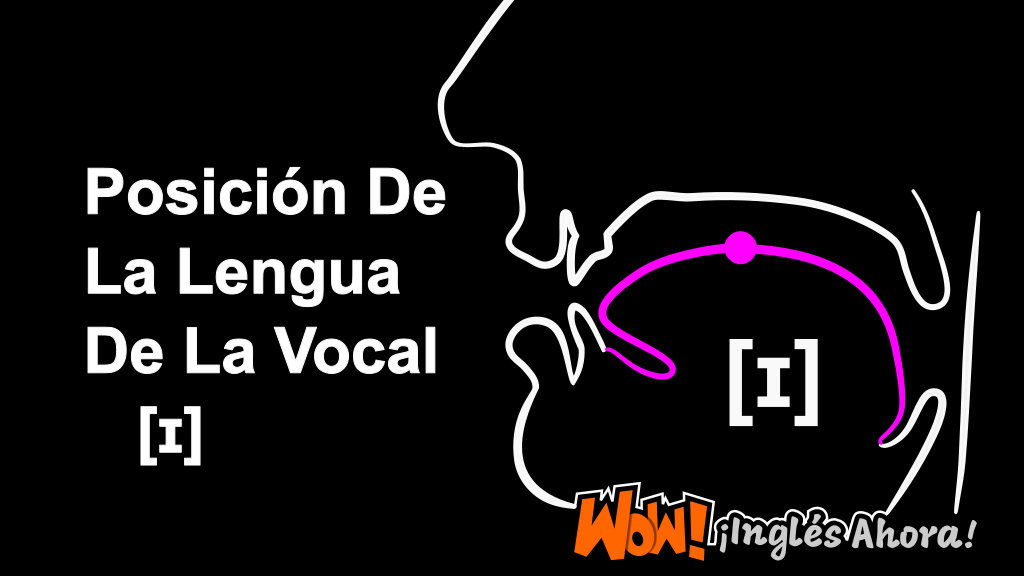 La Posición Relativa De La Lengua En La Boca Al Producir El Fonema [ɪ].