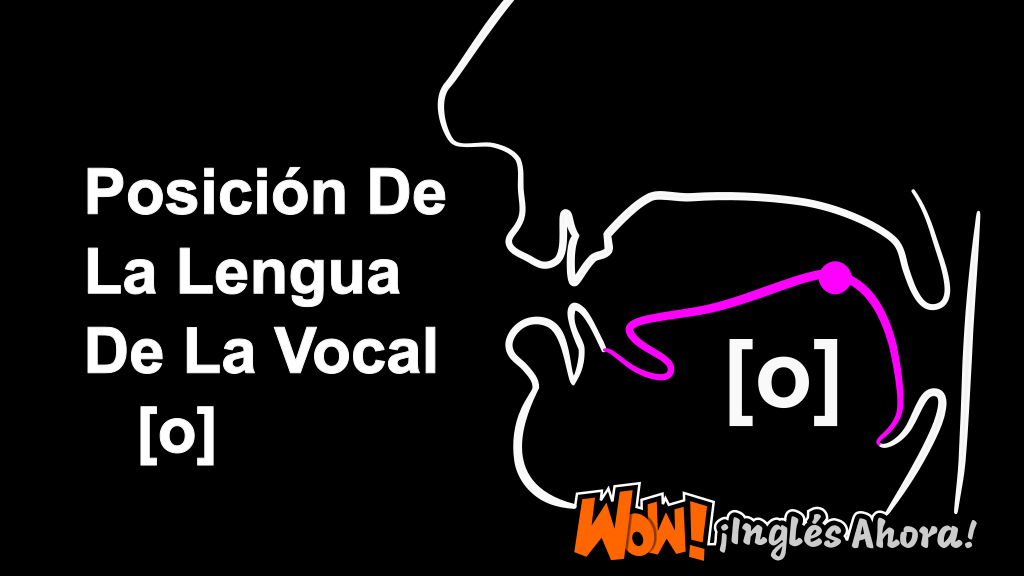 La Posición Relativa De La Lengua En La Boca Al Producir El Fonema [o].