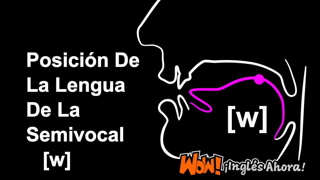 La Posición Relativa De La Lengua En La Boca Al Producir La Semivocal [w].